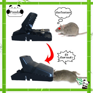 ที่ดักหนู กับดักหนู อุปกรณ์ดักหนู แบบสปริง อุปกรณ์ดักหนู กับดักหนูบ้าน