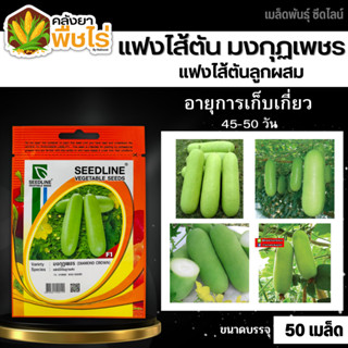🌽 ซีดไลน์ 🇹🇭 แฟงไส้ตันลูกผสม มงกุฏเพชร ขนาดบรรจุประมาณ 50 เม…