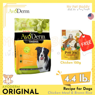 AvoDerm Adult Chicken Meal &amp; Brown Rice Formula dog   4.4lb/2 kg