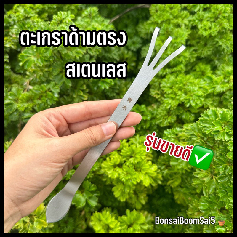 *พร้อมส่งจากไทย* ตะเกรา ตะเกา สินค้านำเข้าจากจีน