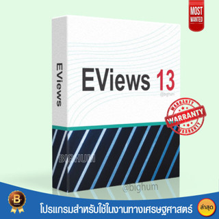 EViews 13 Enterprise Edition | windows | Full Lifetime