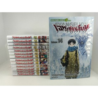 หนังสือการ์ตูน Evangelion เอวานเกเลี่ยน Bigbook​