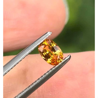 n6พลอยแซฟไฟซ์ นน0.60กะรัต( Yellow Sapphire )