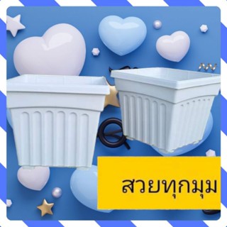 กระถางต้นไม้ ทรงสี่เหลี่ยม 12 นิ้ว