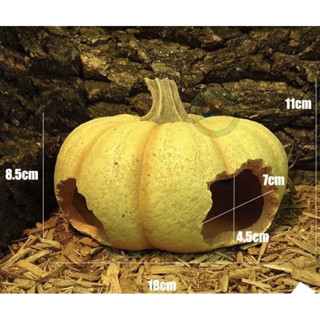ถ้ำซ่อนตัว [ฟักทอง] สำหรับตกแต่งตู้สัตว์เลื้อยคลาน  ตุ๊กแก งู แมงมุม เก็กโค่ ตู้ปลา 18ซม