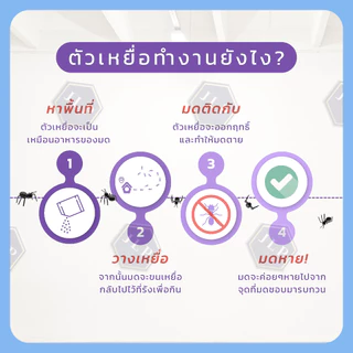 ซันเจี่ยผงกำจัดมด Shanjia 5 กรัม ตรา: มด 3 ตัว !! กำจัดมดยกรัง, กำจัดได้จริง !!
