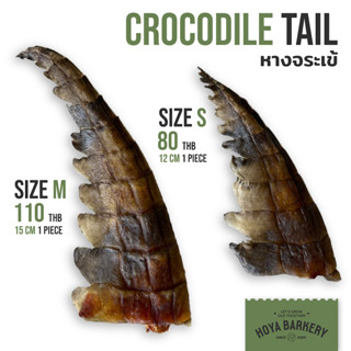 Crocodile Tail หางจระเข้ ขนมแทะขัดฟันน้องหมา Hoya Barkery