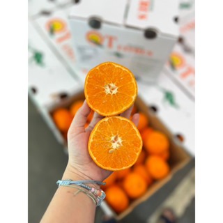 ส้มแมนดารินออสเตรเลีย QT Citrus 56ลูก/ลัง