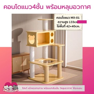 คอนโดแมว 4ชั้น พร้อมห้องนอน หลุมอวกาศ เสาลับเล็บรอบด้าน