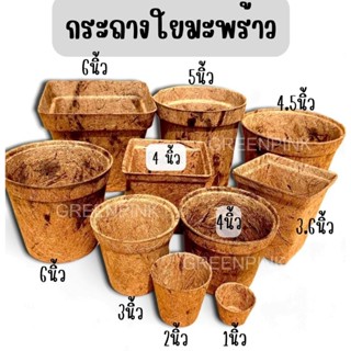 กระถางใยมะพร้าว coir​pors​ cocopots​ coconut ​fiber​ กระถาง ใยมะพร้าว กระถางต้นไม้ รักษ์​โลก​