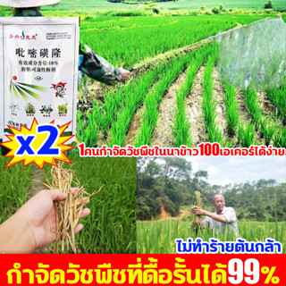 🌾ไม่ทำร้ายข้าว🌾ยาคุมหญ้าในนาข้าว กำจัดวัชพืชไนนาข้าวได้ 99% ยาฆ่าหญ้าในนาข้าว สารกำจัดวัชพืช ไร้สารเคมี แต่ฆ่าวัชพีช