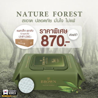 BROWN Nature Baby Wipes - ทิชชู่เปียกสำหรับเด็กแรกเกิด - สูตรเนเจอร์ ฟอร์เรสท์ (20 แผ่น x 12 แพค)