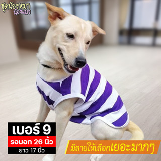 เบอร์ 9 เสื้อน้องหมา รอบอก 26 นิ้ว