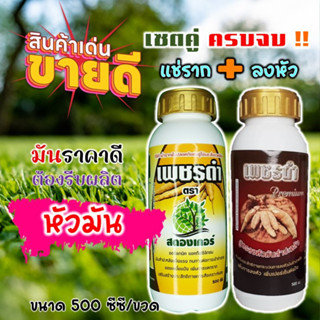 สูตรสร้างมัน เพชรดำ แช่ท่อน+ลงหัว เพิ่มหัวมัน เพิ่มจำนวนหัวมันสำปะหลัง เพิ่มเปอร์เซ็นต์แป้ง