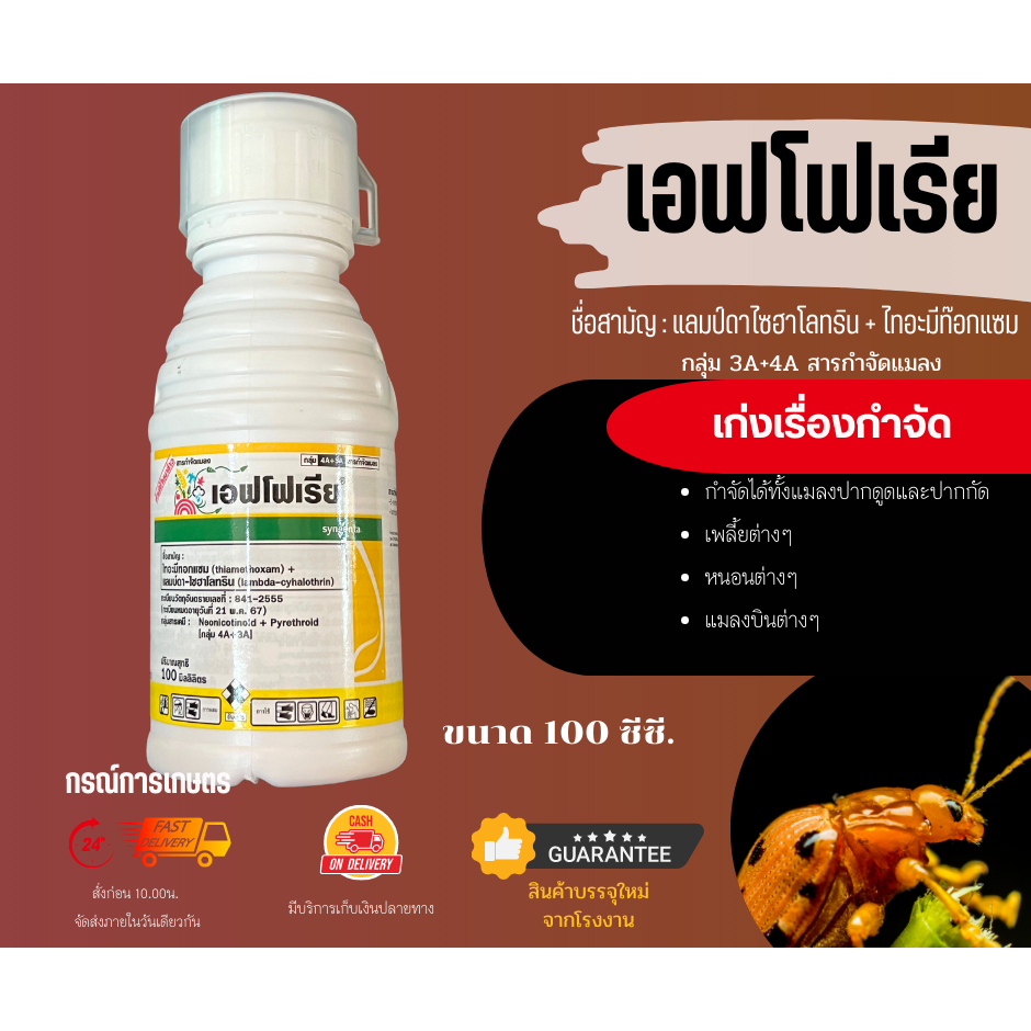 เอฟโฟเรีย ขนาด 100 ซีซี (ทะเบียนใหม่) (ผลิต 06/10/2022) จำนวน 1 ชิ้น