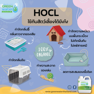 🐱น้ำยาฆ่าเชื้อไวรัส ไข้หวัดแมว แบคทีเรีย Green Water 1000 ml. ทำความสะอาดกรง ของเล่นสัตว์เลี้ยง ดับกลิ่น ปลอดภัย