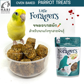 ขนมนก ขนมอบรสผัก และรสพริก Little Foragers รางวัลสำหรับนกแก้วทุกสายพันธุ์ Oven Baked Parrot Treats