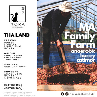 Ma Family Farm - กาแฟครอบครัวมะ Anaerobic Honey (Omni-Roast)