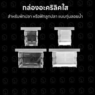 กล่องพักปลา งานอะคริลิคใส กล่องฟักปลาเมดากะ ปลาหางนกยูง กล่องกักโรค กล่องแยกปลาป่วย กล่องกักปลา มีฝาปิดกันปลากระโดด