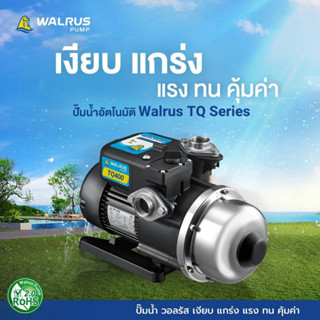 ปั๊มน้ำอัตโนมัติ ปั๊มออโต้ เสียงเงียบ ใบพัด Stainless 200 - 800 วัตต์ Automatic Booster Pump - Summer TQ Series รุ่น TQ-