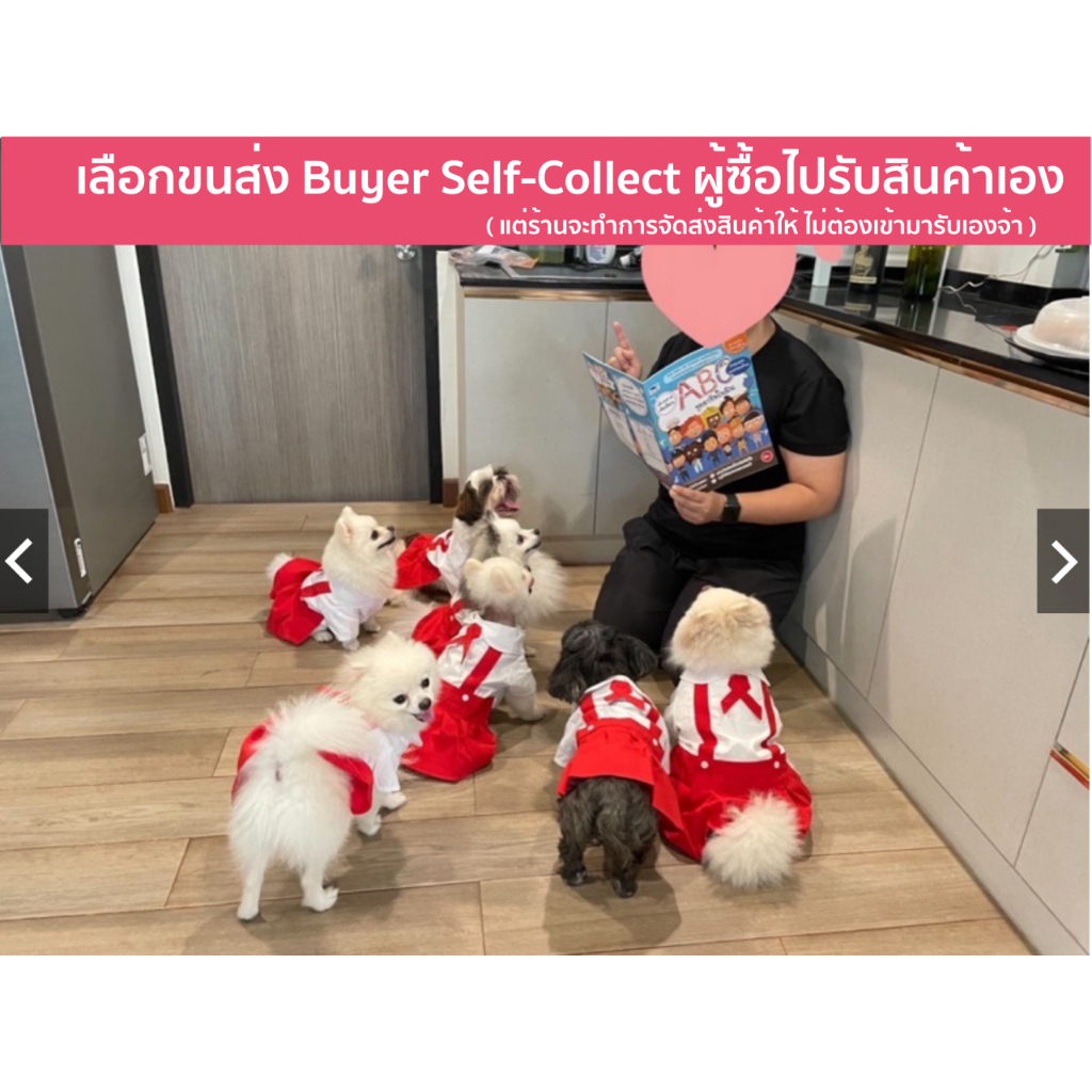 ชุดนักเรียนหมา ชุดนักเรียนแมว ผ้าฝ้ายอย่างดี ชุดนักเรียนสัตว์เลี้ยง ชุดนักเรียนไทย มีสีแดง น้ำเงิน