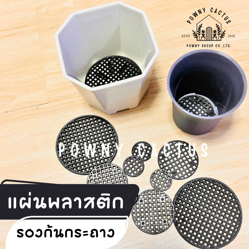 แผ่นพลาสติก รองก้นกระถาง 10 แถม 2 ตาข่ายรองก้นกระถาง ห่อละ 10 ชิ้น แคคตัส ไม้อวบน้ำ กุหลาบหิน cactus&succulent CH