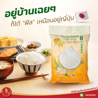 5 กิโลกรัม ข้าวหอมปทุมธานีแท้ ตราปลาทอง เม็ดสีขาวขุ่น เป็นข้าวท้องไข่ *ขนาด 5 กิโลกรัม 1 ถุง* ข้าวราคาถูก ข้าวหอมปทุม