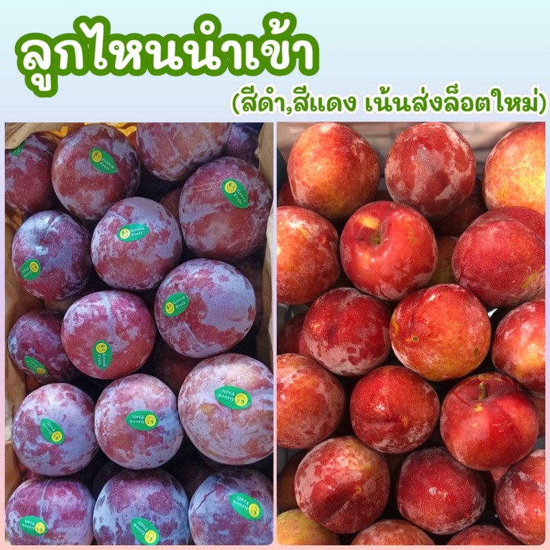 พร้อมส่ง‼️ 1KG ลูกไหนสดนำเข้า ลูกพลัม ทานดิบเปรี้ยวจิ้มพริกเกลือแซ่บๆ ทานสุกหวานอมเปรี้ยวนิดๆ