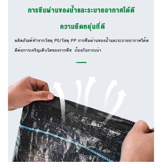 (หนาขึ้น) พลาสติกคลุมดิน ผ้าคลุมหญ้า พลาสติกคลุมวัชพืช กำจัดวัชพืช ผ้าคลุมวัชพืช พลาสติกเกรดส่งออก ผสมUV ฆ่าหญ้า 1×100