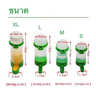 ขวดให้อาหารให้น้ำนกอัตโนมัติ อุปกรณ์สำหรับนกแก้ว 🦜