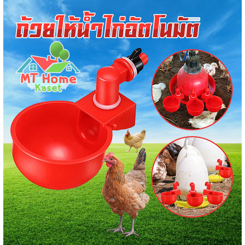 Bowls & Feeders 16 บาท ถ้วยให้น้ำไก่ อุปกรณ์ให้น้ำสัตว์อัตโนมัติ สำหรับไก่ เป็ด นก Pets