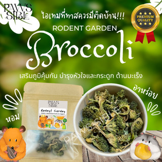 [Paws-sible] Rodent Garden Dried Broccoli &amp; Cauliflower บรอคเคอลิอบแห้ง ผักอบสัตว์ฟันแทะ อาหารแฮมสเตอร์ อาหารแฮมเตอร์