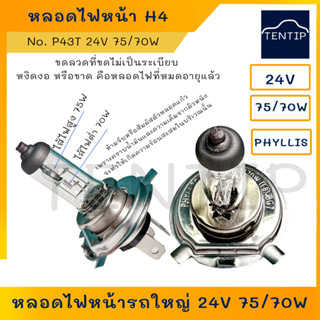 PHYLLIS หลอดไฟหน้า หลอดไฟหน้ารถยนต์ ฮาโลเจน รถยนต์ รถใหญ่ P43T H4 24V 75/70W สำหรับรถ ฮีโน่, อีซูซุ, ฟูโซ่