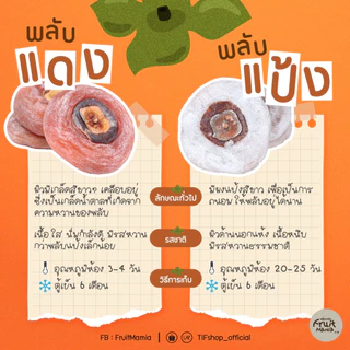 SamBua สามบัว ลูกพลับแห้ง (พลับแดง) 500 กรัม Dried Dehydrated Persimmon (red)