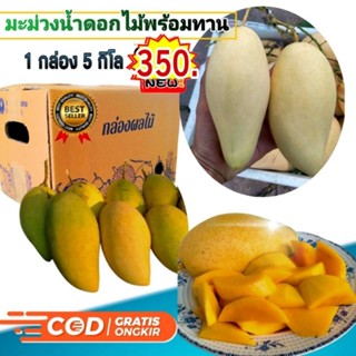 มะม่วงน้ำดอกไม้ 5 กิโล 350 บ.พันธ์เบอร์ 4 หวานหอมพร้อมทาน