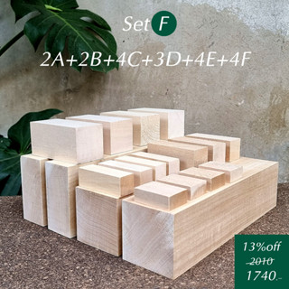 Basswood Big set 13%off