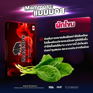 Mammos | แมมมอส | ผลิตภัณฑ์เสริมอาหาร