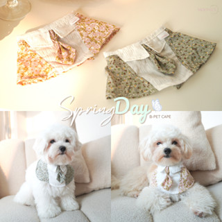 คอปกผูกคอหมาเเละเเมว Spring Day B-Pet Cape