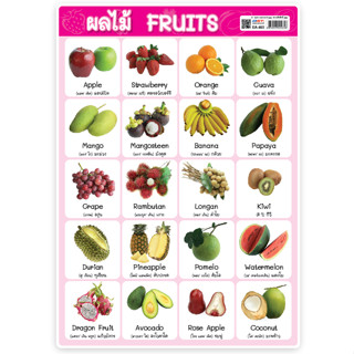 โปสเตอร์พลาสติกขนาด A4 EA-465 Fruits ผลไม้