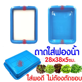 *โค้ดส่งฟรี* ถาดใส่ฟองน้ำ เพาะเมล็ด ถาดเพาะเมล็ดไม่มีรู *สีน้ำเงิน* ถาดเพาะกล้า ปลูกผักไฮโดรโปนิกส์ ฟองน้ำ Clearance