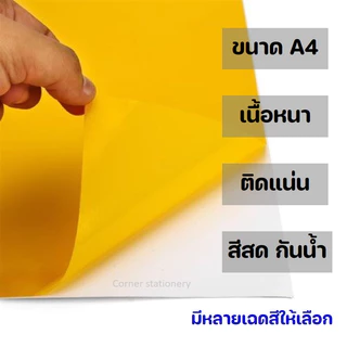 สติ๊กเกอร์พีวีซี ขนาด A4 210x297 มม.หลังขาวโฟโต้ (หน้ามัน พิมพ์ไม่ได้) สติ๊กเกอร์ PVC กันน้ำ 1 แผ่น