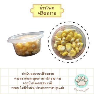 ข้าวโพดฟรีซดราย สำหรับสัตว์เล็ก เช่น กระรอก แฮมสเตอร์ ชูการ์ไกลเดอร์ นก ดอร์เมาส์