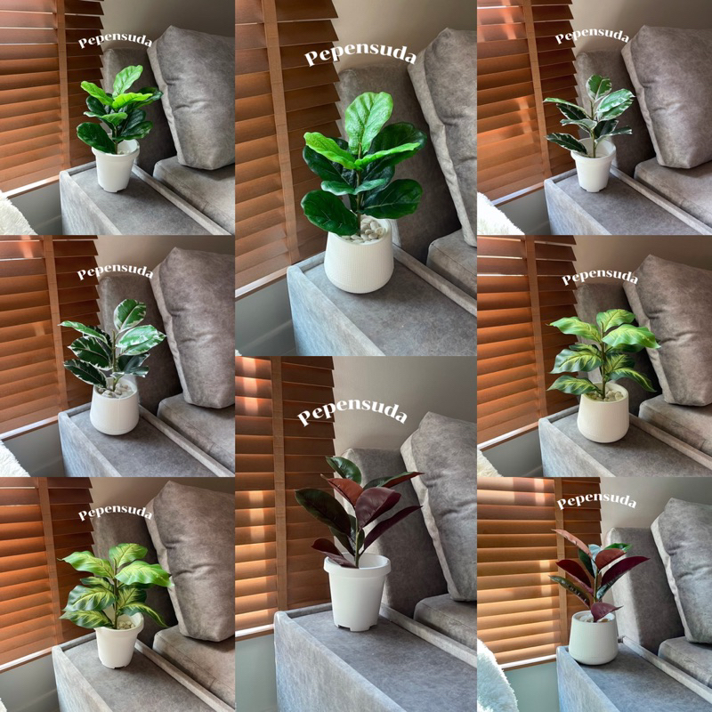 🌿🌿ต้นไม้เสมือนจริงยอดนิยม+กระถาง+หิน🌿🌿ต้นไม้ปลอมมินิมอลสูง 45 ซม. รุ่นตั้งโต๊ะ ((พร้อมส่ง)) ราคาถูกมินิมอลน่ารักสุดๆ 💕