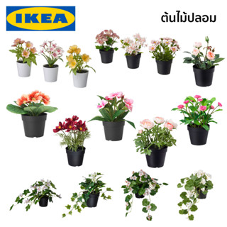 ต้นไม้ปลอม ต้นไม้ปลอมแต่งบ้าน ไม้ดอกปลอม ดอกไม้ปลอม FEJKA IKEA อิเกีย