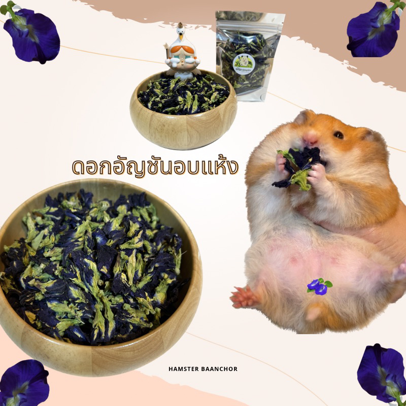 อัญชันอบแห้งสำหรับแฮมสเตอร์ 20g.
