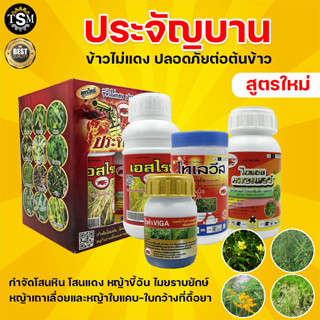 ประจัญบาน สูตรใหม่ ชุดกำจัดหญ้าในนาข้าวเห็นผลดี ปราบหญ้าในนาข้าว กำจัดวัชพืช ประจันบาน  ข้าวไม่แดง สารกำจัดวัชพืช