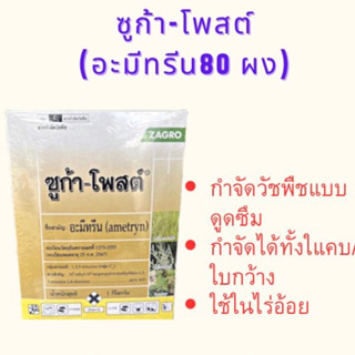 ซูก้าโฟส(อะมีทรีนผง)กำจัดวัชพืชในไร่อ้อยไร่สัปรด