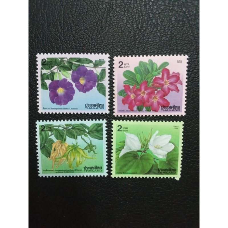 ชุด​ปีใหม่​   ปี​2539