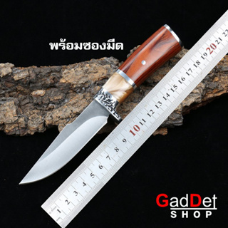 มีดตรง สแตนเลส collection knife camping straight 22CM พร้อมซองมีด แค้มป์ปิ้ง เดินป่า ทำอาหาร