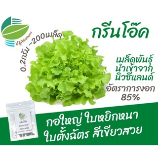 เมล็ดพันธุ์ ผักสลัด กรีนโอ๊ค (Green Oak) แหล่งรวบรวมนิวซีแลนด์